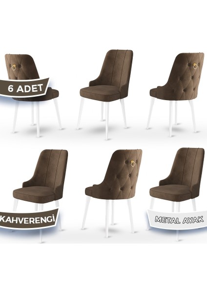 Concept Newa Serisi Babyface Kumaş Beyaz Metal Ayak Gold Halkalı 6 Adet Sandalye