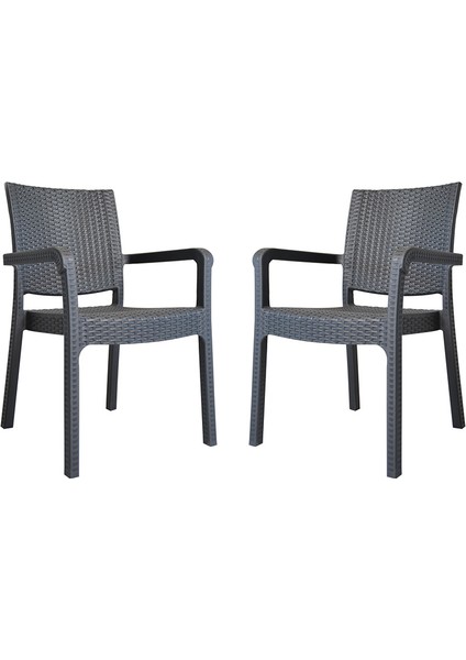 Troya Antrasit Rattan Desenli Koltuk 2'li Set fiyatları