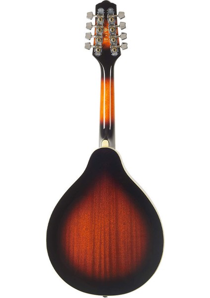 M510E-BS Elektro Mandolin