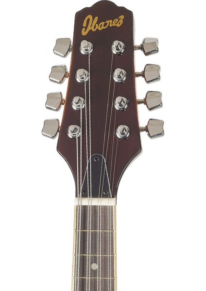 M510E-BS Elektro Mandolin