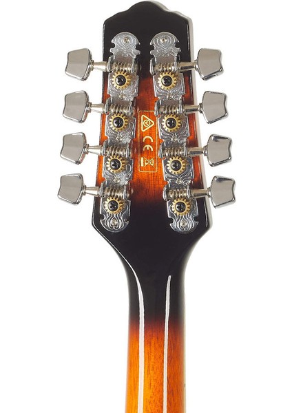 M510E-BS Elektro Mandolin