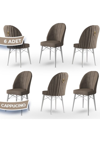 Concept Canisa Ritim Serisi, 1.sınıf Babyface Ithal Kumaş, 6 Adet Sandalye, Beyaz Gürgen Ayak, Gold Halkalı