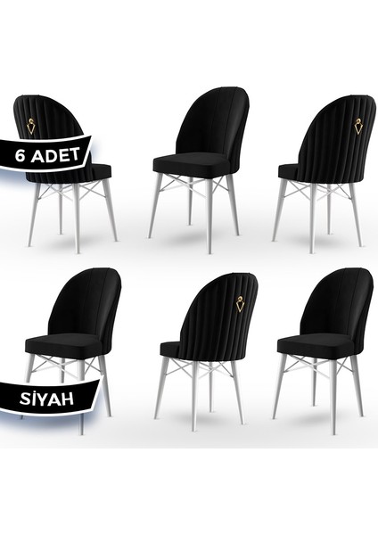 Concept Canisa Ritim Serisi, 1.sınıf Babyface Ithal Kumaş, 6 Adet Sandalye, Beyaz Gürgen Ayak, Gold Halkalı