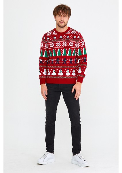 Erkek Kırmızı-Yeşil Uzun Kol Christmas Kazak Bisiklet Yaka Etnik Desenli fiyatları