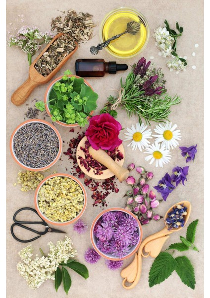 Dijital Baskılı Kaymaz Taban Yıkanabilir Kolay Temizlenir Mutfak Halısı NDM-HT-1564 fiyatları