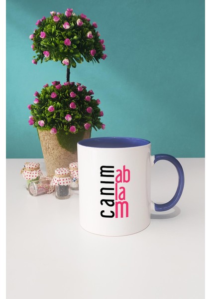 Ablaya Hediye Canım Ablam Kupa Bardak Lacivert fiyatları