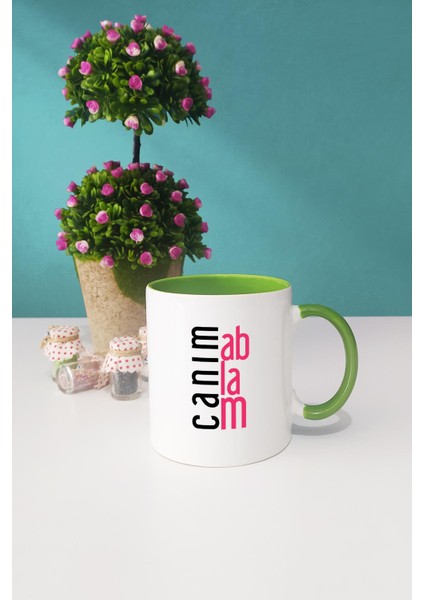 Ablaya Hediye Canım Ablam Kupa Bardak Yeşil fiyatları