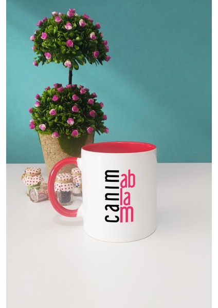 Ablaya Hediye Canım Ablam Kupa Bardak Kırmızı