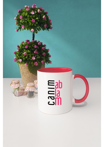 Ablaya Hediye Canım Ablam Kupa Bardak Kırmızı fiyatları