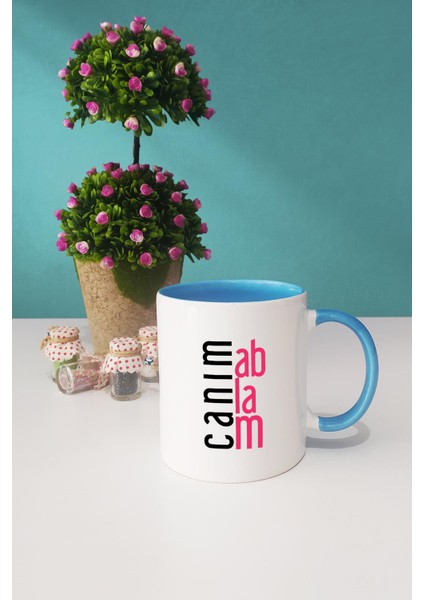 Ablaya Hediye Canım Ablam Kupa Bardak Mavi fiyatları