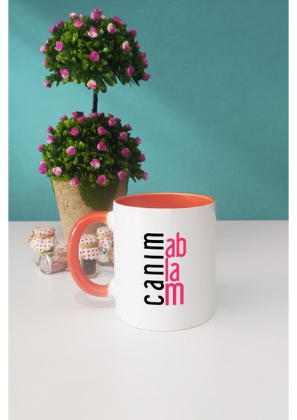 Ablaya Hediye Canım Ablam Kupa Bardak Turuncu fiyatları