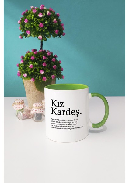Kız Kardeşe Hediye Kupa Bardak Yeşil fiyatları