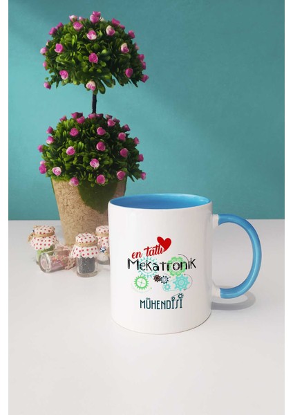 En Tatlı Mekatronik Mühendisi Hediye Kupa Bardak Mavi fiyatları