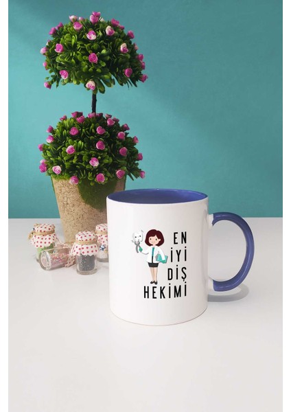 En Iyi Diş Hekimi Hediye Kupa Bardak Lacivert fiyatları