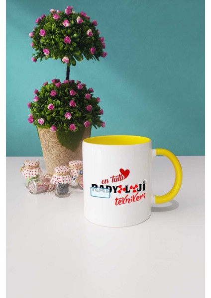 En Tatlı Radyoloji Teknikeri Hediye Kupa Bardak Sarı fiyatları