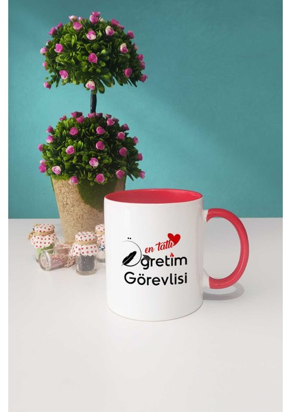 En Tatlı Öğretim Görevlisi Kupa Bardak Kırmızı fiyatları