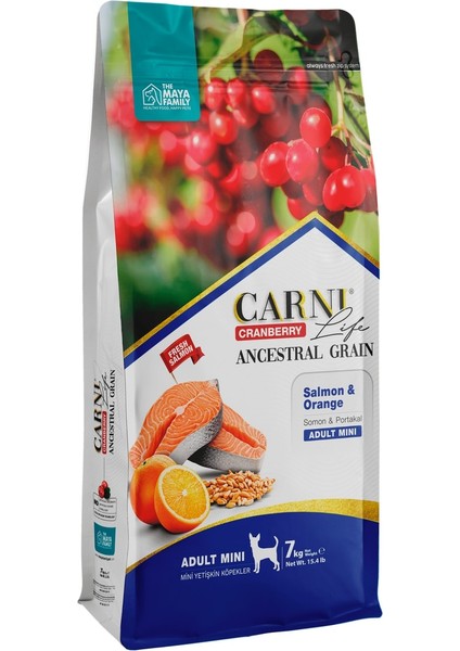 Life Carni Dog Adult Mini Somon/portakal Köpek Maması 7 kg