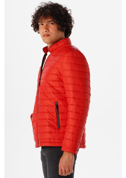 Slim Kalıp Kapitone Mont fiyatları