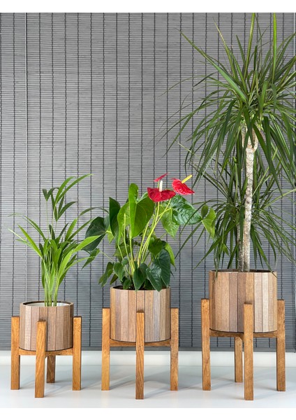 Dekoratif Ahşap Stand Ayaklı Yuvarlak Saksı Seti 3'lü Iç Saksılı