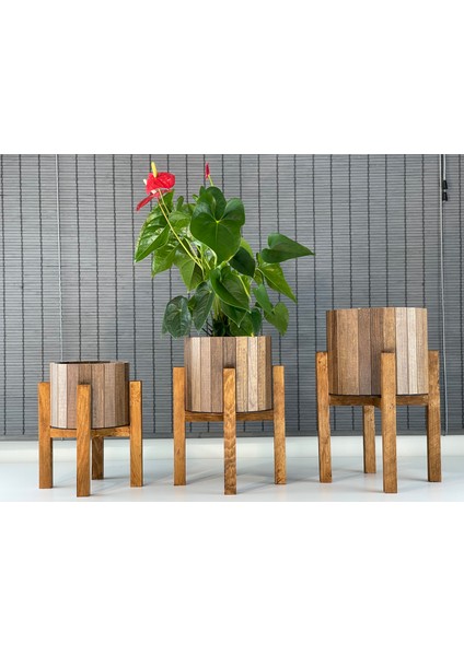 Dekoratif Ahşap Stand Ayaklı Yuvarlak Saksı Seti 3'lü Iç Saksılı fiyatları