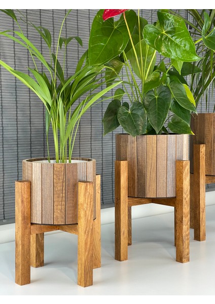 Dekoratif Ahşap Stand Ayaklı Yuvarlak Saksı Seti 3'lü Iç Saksılı modelleri