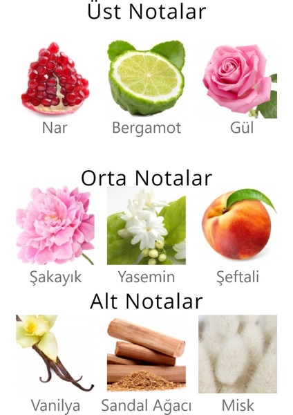 Fioritura Purple 50 ml Edp Kadın Parfüm APCN003003 indirimleri