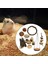 Hamster Tavşan Çiğneme Oyuncakları Set Gine Oyuncakları Bakım Evcil Hayvan Malzemeleri E (Yurt Dışından) 4