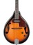 M510E-BS Elektro Mandolin 3