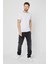 Metalıc Erkek Çok Renkli T- Shirt Regular Fit Rahat Kesim Bisiklet Yaka Basic Tişört 1