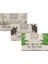 Image Maker Pure Clean 3'lü Karma Set 3 1