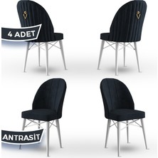 Ritim Serisi, 1.sınıf Babyface Ithal Kumaş, 4 Adet Sandalye, Beyaz Gürgen Ayak, Gold Halkalı