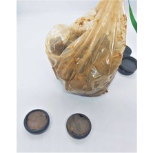 Berat Hac Miski Amber Kokusu - Ceylan Göbeği Kokusu - Katı Krem 5 Gram 2 Adet