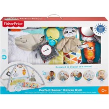 Fisher-Price Perfect Sense Delüks Jimnastik Merkezi