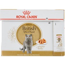 Royal Canin British Shorthair Konserve 85 gr x 12 Adet