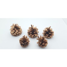 Be Beauty Yılbaşı, Yeni Yıl Noel Ağacı Süsleme Için Dekoratif Boyalı Kozalak Model 12