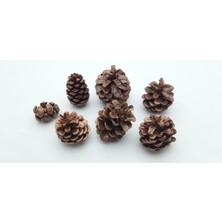 Be Beauty Yılbaşı, Yeni Yıl Noel Ağacı Süsleme Için Dekoratif Boyalı Kozalak Model 26