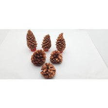 Be Beauty Yılbaşı, Yeni Yıl Noel Ağacı Süsleme Için Dekoratif Boyalı Kozalak Model 10