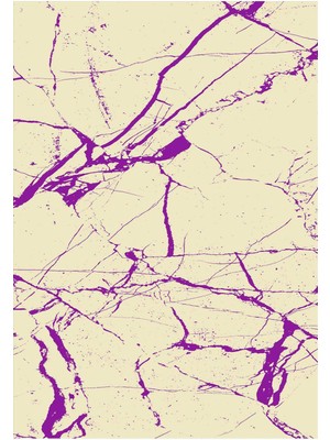 Napoli Home Dijital Baskılı Yıkanabilir Kaymaz Modern Renkli Salon Halısı Mutfak Halısı Yolluk ND-HY-1163