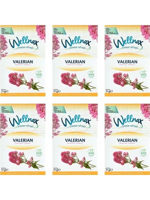 Wellnax Dolap ve Çekmece Kokusu Valerian Çiçeği 6lı