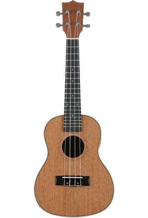 Ukulele price 2024 for beginners