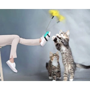 Kedi Oyuncagı Ayak Oltası