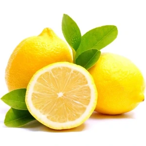 Çermik Fidancılık 2 Adet Tüplü Mayer Limon Fidanı