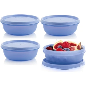 Buzdolabı Saklama Kabı 4X300 ml Şeker Kaplar Hsgl