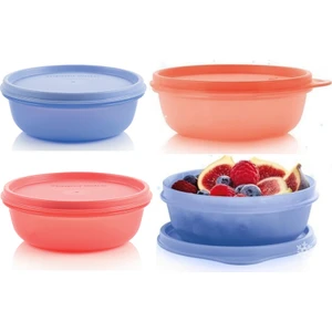 Buzdolabı Saklama Kabı 4X300 ml Şeker Kaplar Hsgl