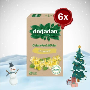 Yılbaşı Paketi Ihlamur Çayı 20'li x 6