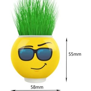 Çim Adam  Çimoji  Cool 1 Adet