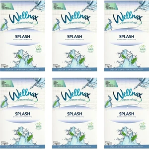 Dolap ve Çekmece Kokusu Splash 6lı