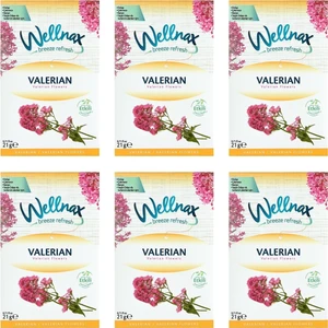 Dolap ve Çekmece Kokusu Valerian Çiçeği 6lı