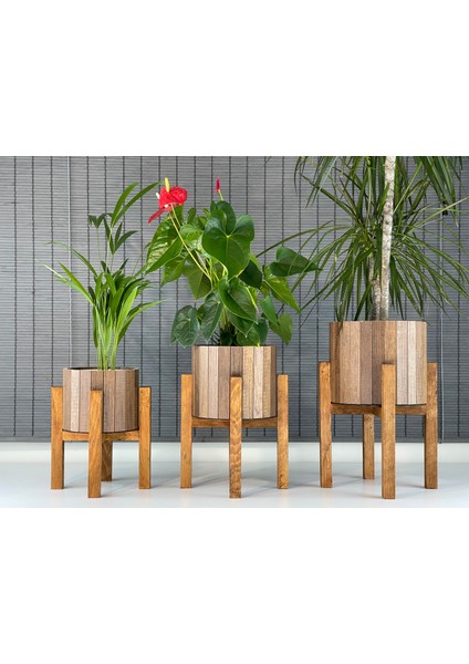 Dekoratif Ahşap Stand Ayaklı Yuvarlak Saksı Seti 3'lü Iç Saksılı indirimleri