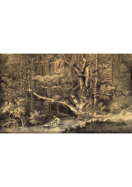 Dekoros tek Parça Doğa Çizimi Ağaçlar ve Nehir Poster Duvar Kağıtları fırsatları